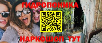сатива Анжеро-Судженск