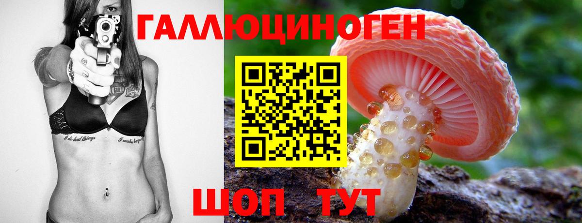 Псилоцибиновые грибы MAGIC MUSHROOMS  Вход с VPN  Котовск  Псилоцибиновые грибы мицелий 